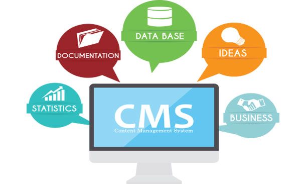 cms-services